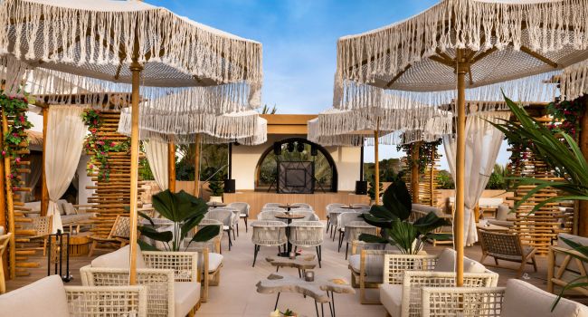Angebot: Riu Palace La Mola