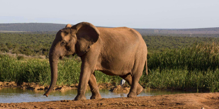 Suedafrika